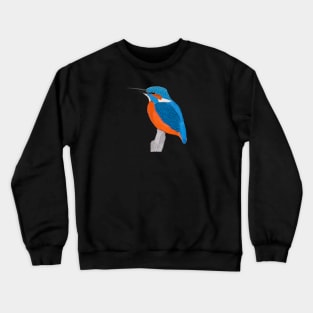 Kingfisher Bird Watching Birding Ornithologist Gift Crewneck Sweatshirt